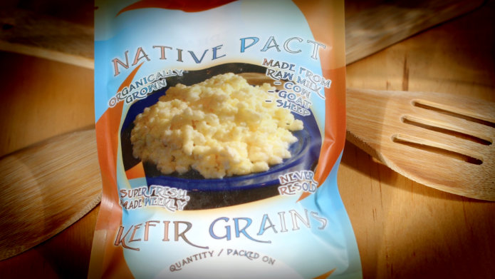 Native Pact Buy Kefir Grains Small